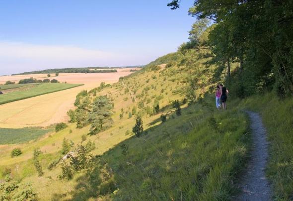 Larris de Fignières