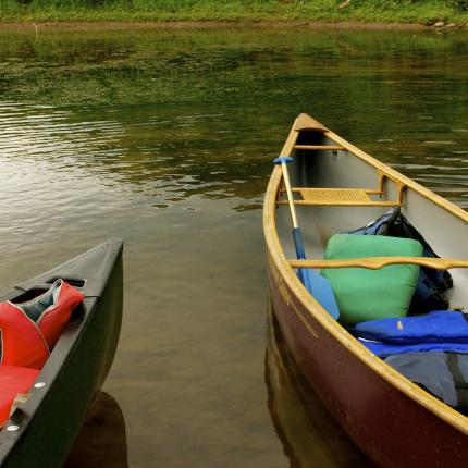 Photo de deux canoës amarés au bord d'un plan d'eau