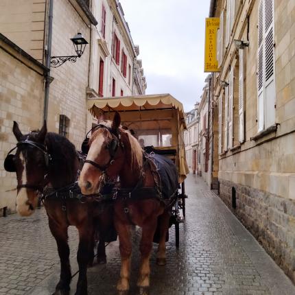 Une promenade en calèche à Amiens