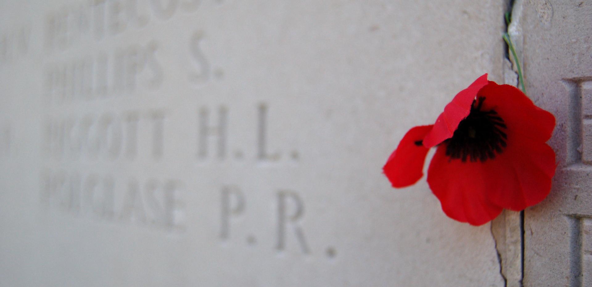 Mur mémoire et coquelicot